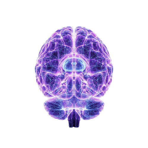 Hind Brain Activation