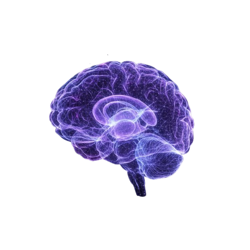 Mid Brain Activation